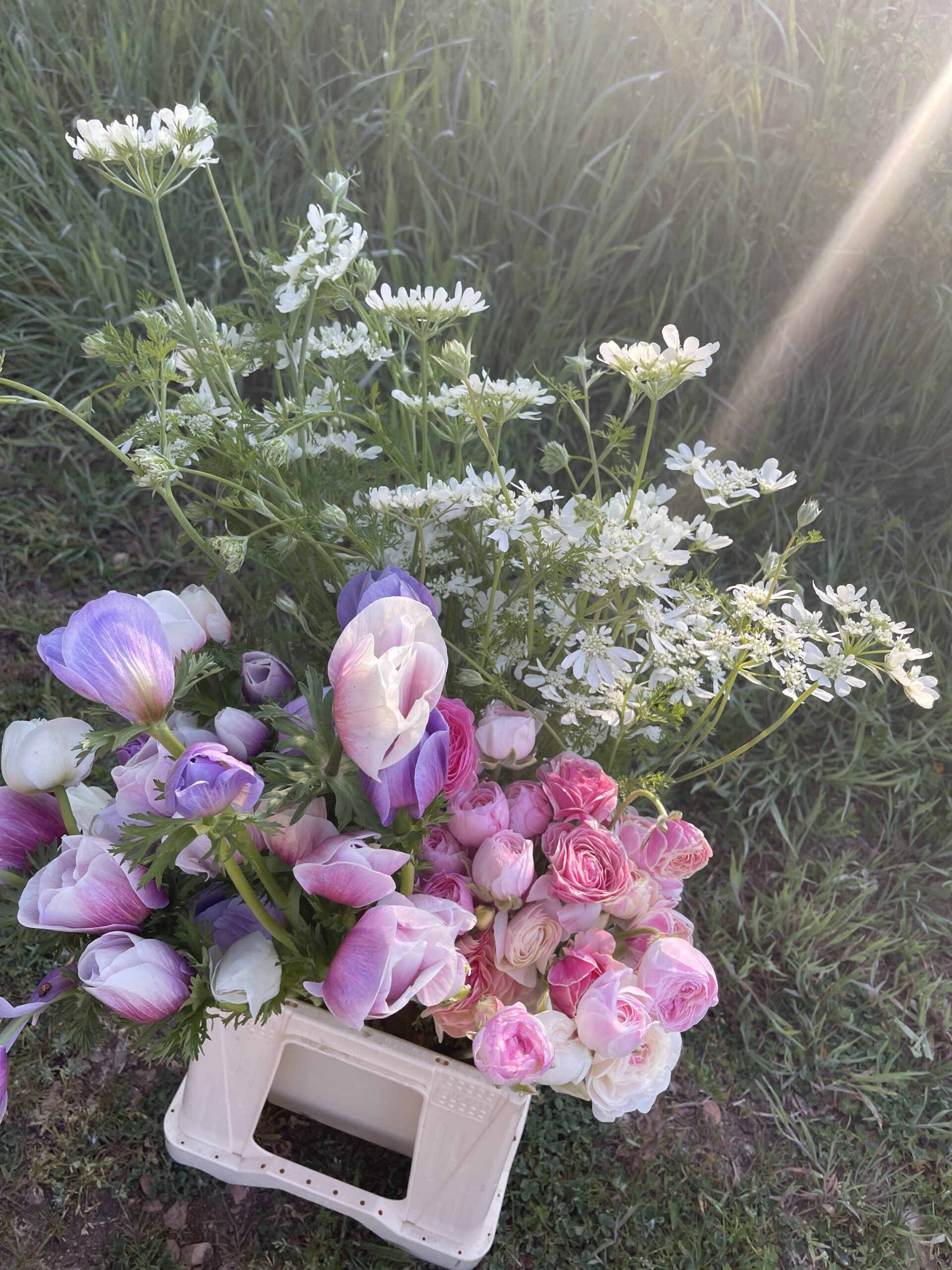 Atelier floral Marguerite et Compagnie